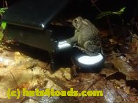 /home//u458753944/public_html/sourcegallery////McKaig Nature Center/2024-09-29/P9291570.JPG